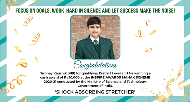 Shock Absorbing Stretcher